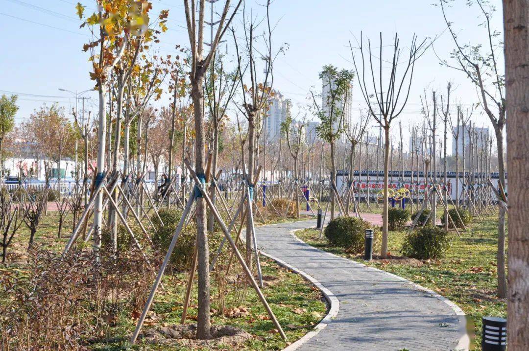 人均公园绿地面积_绿地公园手绘平面图