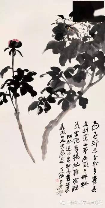 盘点历代名家笔下的那些牡丹(第六辑)_李苦禅