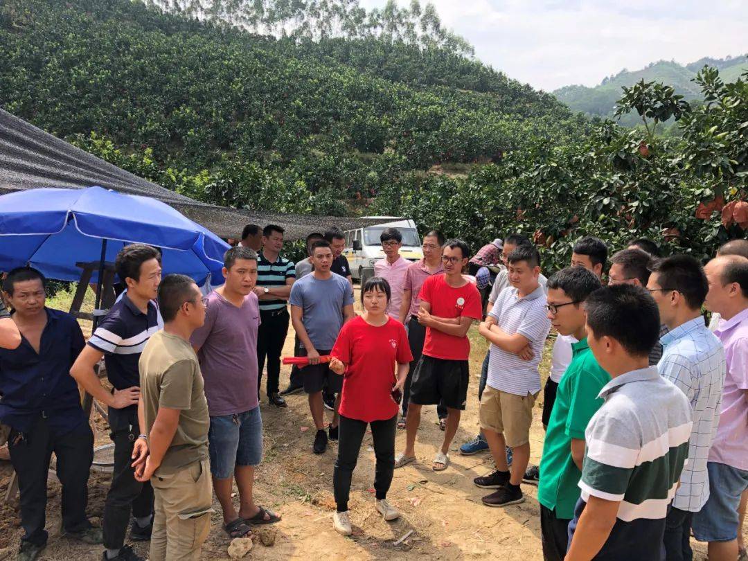 科普|科技助力乡村振兴再出发丨科技让“八闽大地”生长出看得见的力量