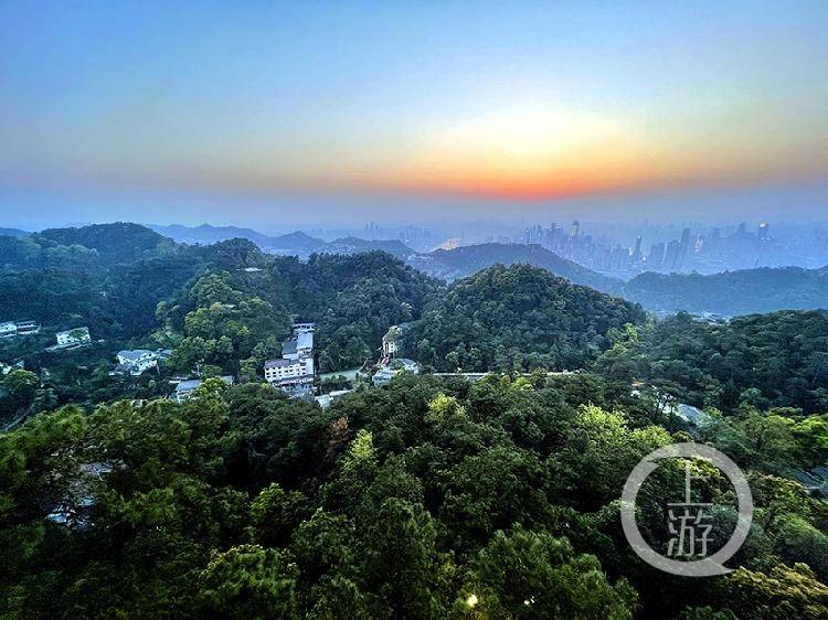 层层叠彩 绿色环抱——南山之巅隔山打望重庆城不一样的美色