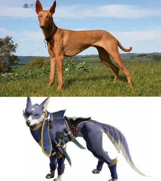 怪物猎人崛起的狗子在世界各地有自己的名字