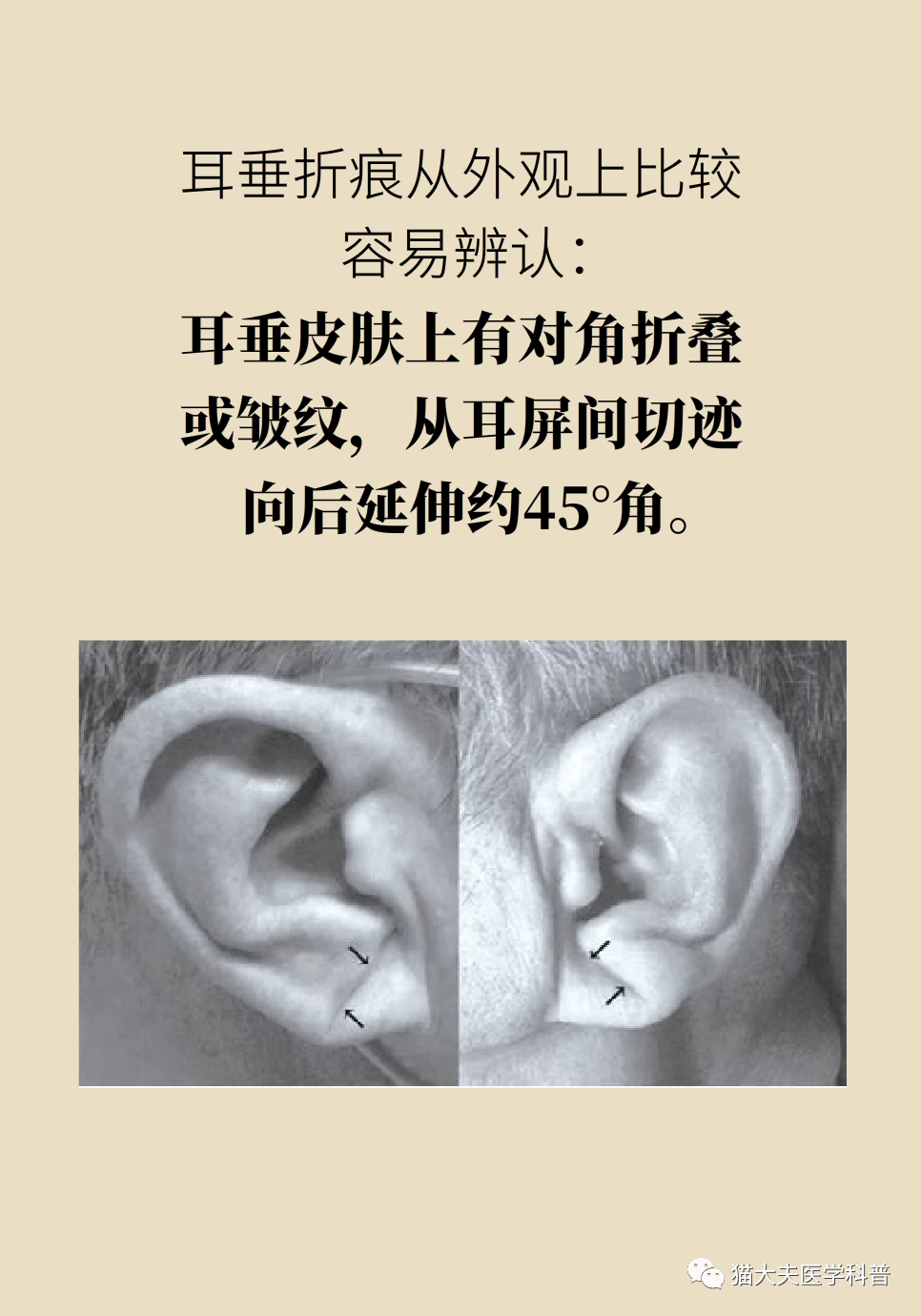 0257257152954e25afd563355307016d.png