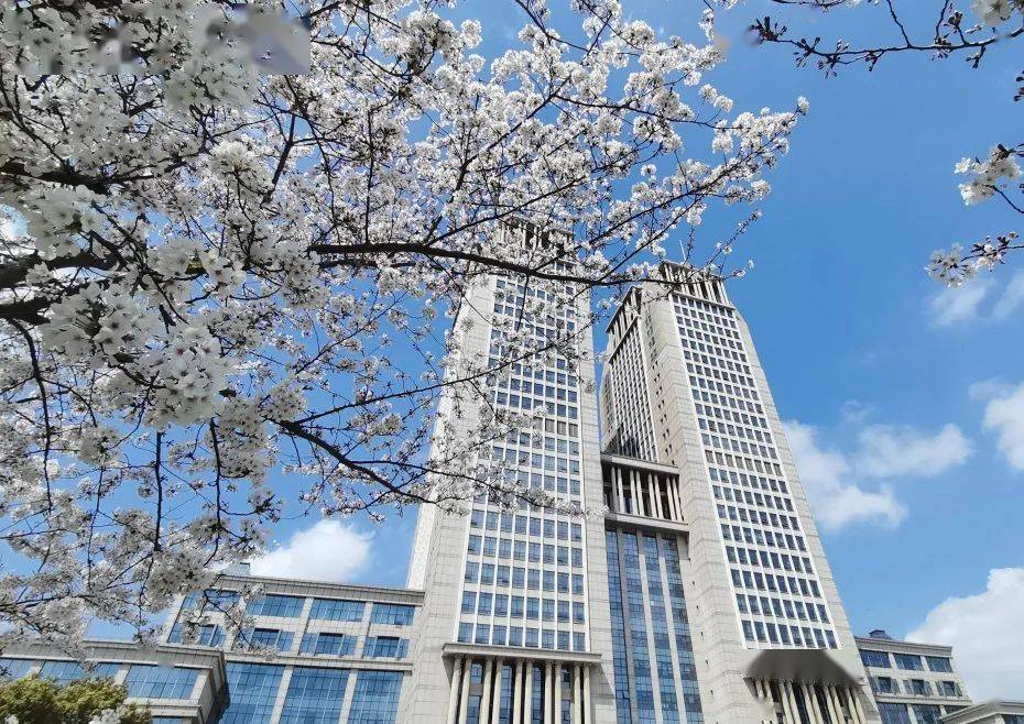 复旦大学国际关系与公共事务学院招聘教授青年研究员青年副研究员
