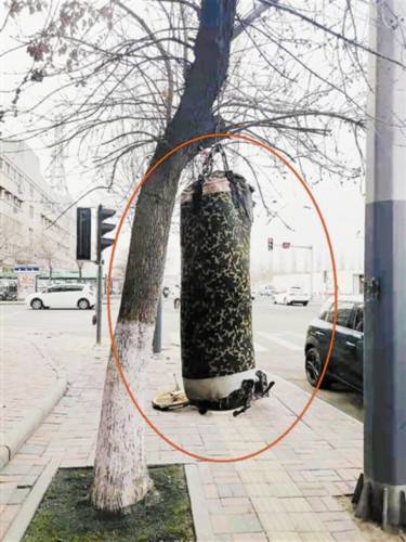 沙袋排行_一球负瑞典国足成沙包排名差60位出场费花60万