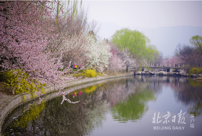 多图抢先看！北京植物园内，风景如画