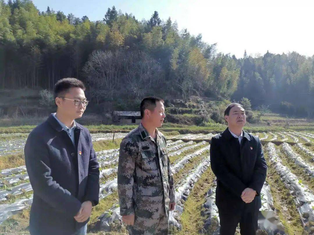 再学习 再调研 再落实丨泰宁县领导深入大田乡开展工作调研_张春华