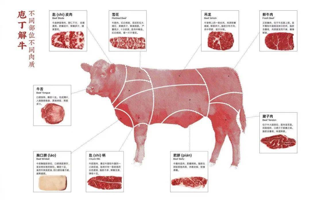 180全景玻璃明档厨房每日新鲜现切桐庐这家潮汕牛肉火锅价值316元霸王