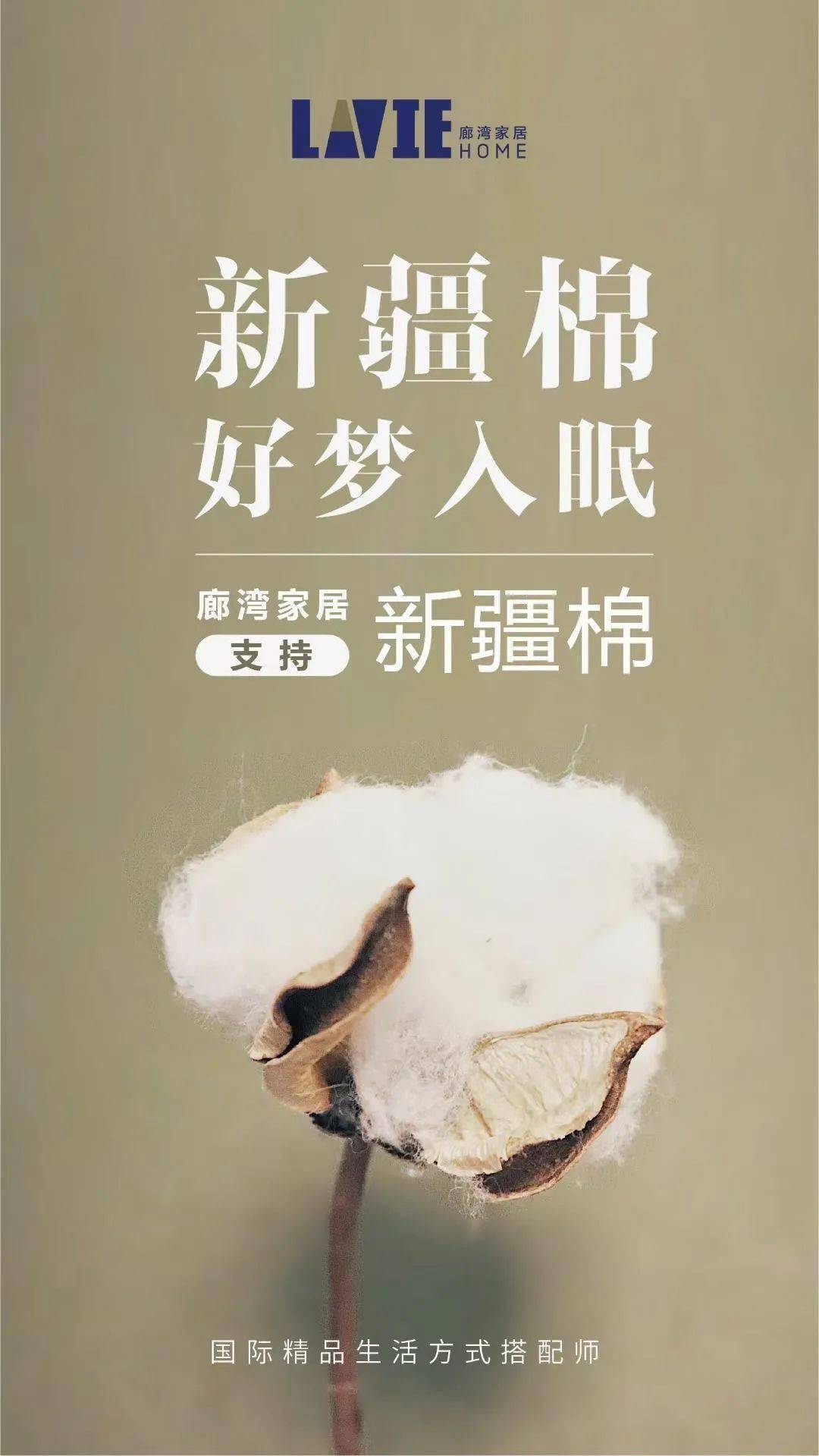 中国家纺品牌力挺新疆棉!_棉花