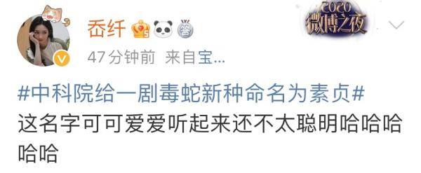 银环蛇|这种剧毒蛇，名叫素贞