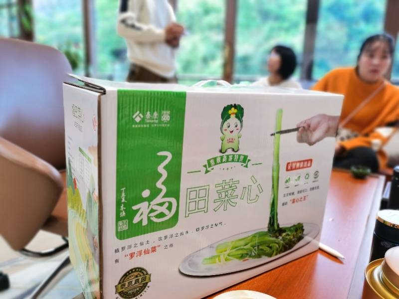 政企合作开乡村振兴新局疫情之下博罗福田菜心行销全国