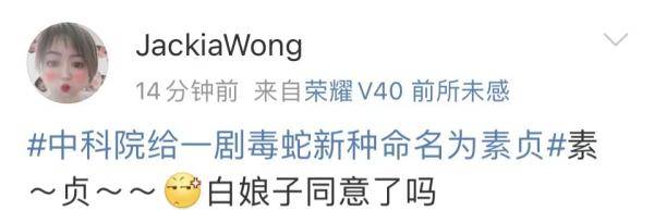 银环蛇|这种剧毒蛇，名叫素贞