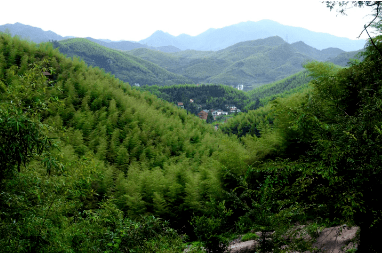 徑山(山溝溝)國家森林公園西山森林公園位於西湖區中部,距離杭州市