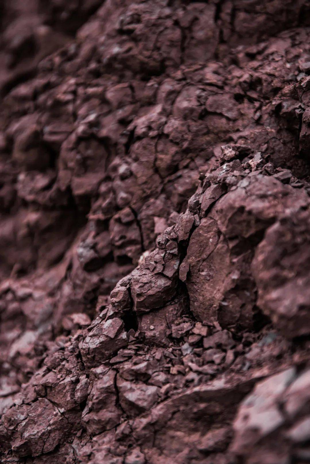 能够孕育优质青菜头的紫色土壤.