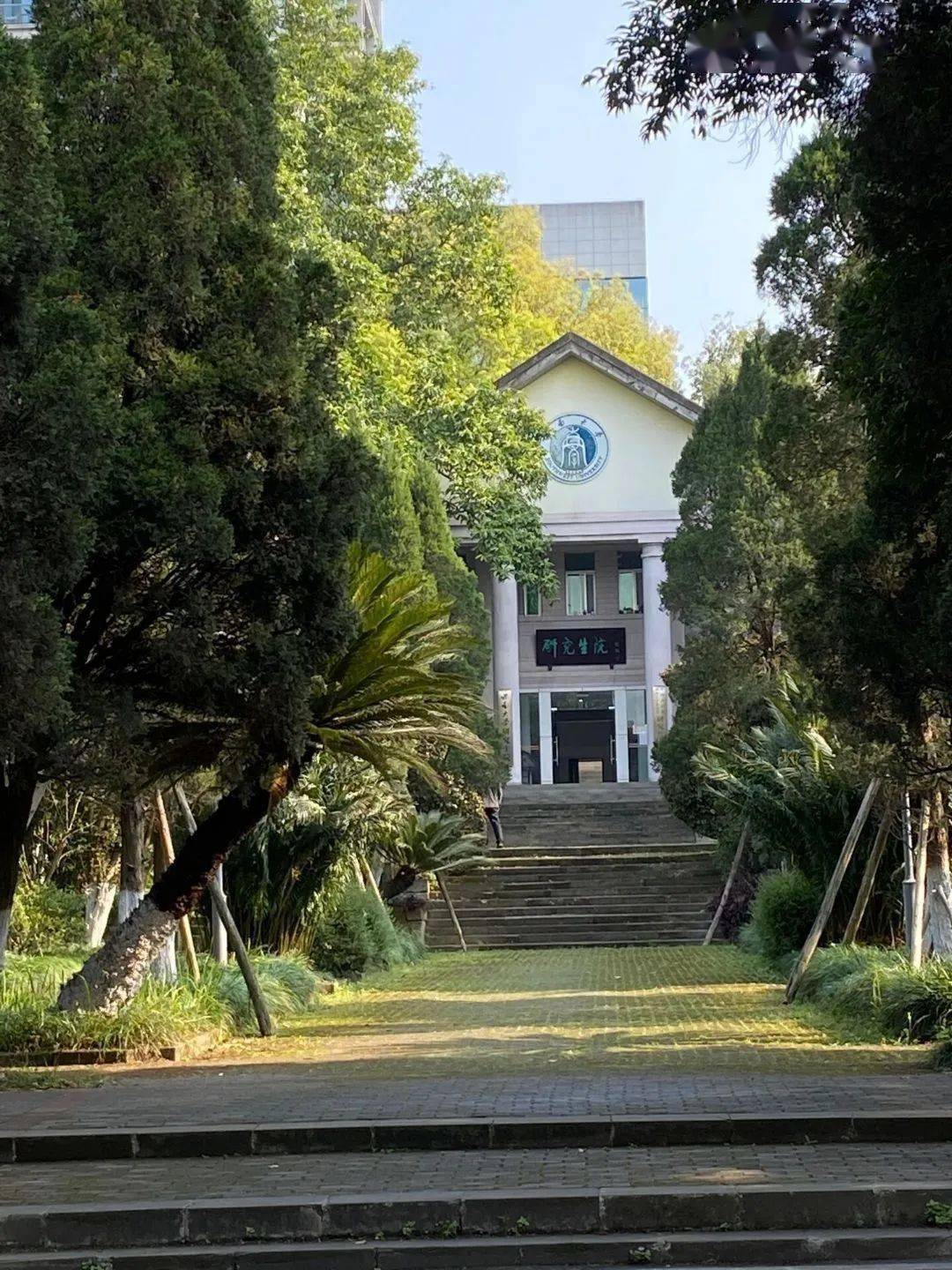 西南大学丨春日序曲