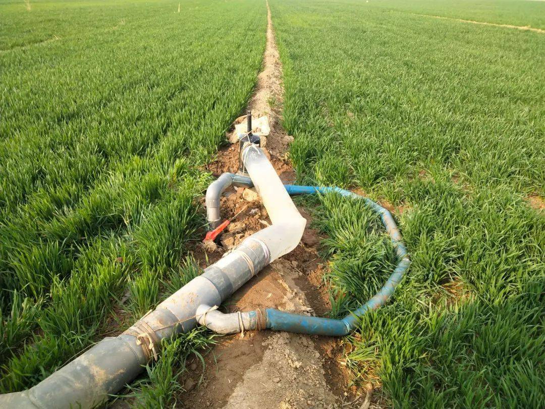 沼液直接输送到麦田里与水混合牧原公司位于王口镇王口村,专业从事