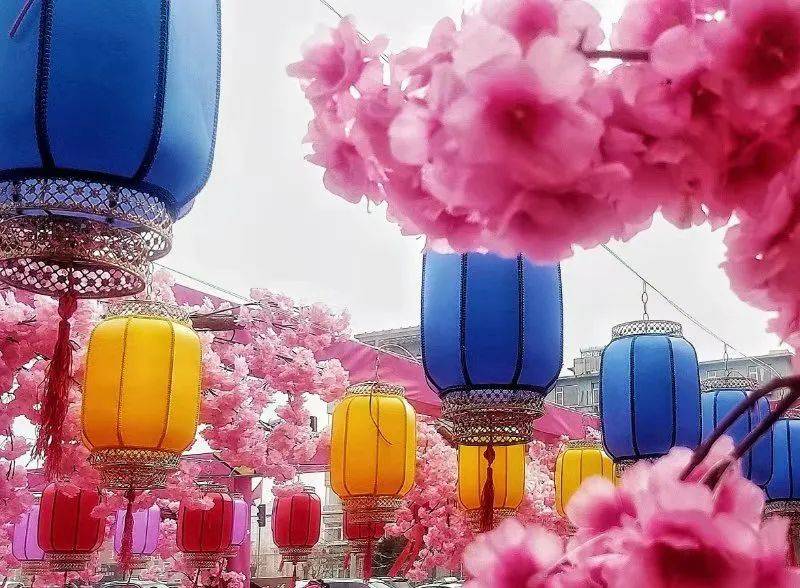 《万达樱花灯笼节》——阳《长沙小吃》——星辰《夕阳无限好》3月28