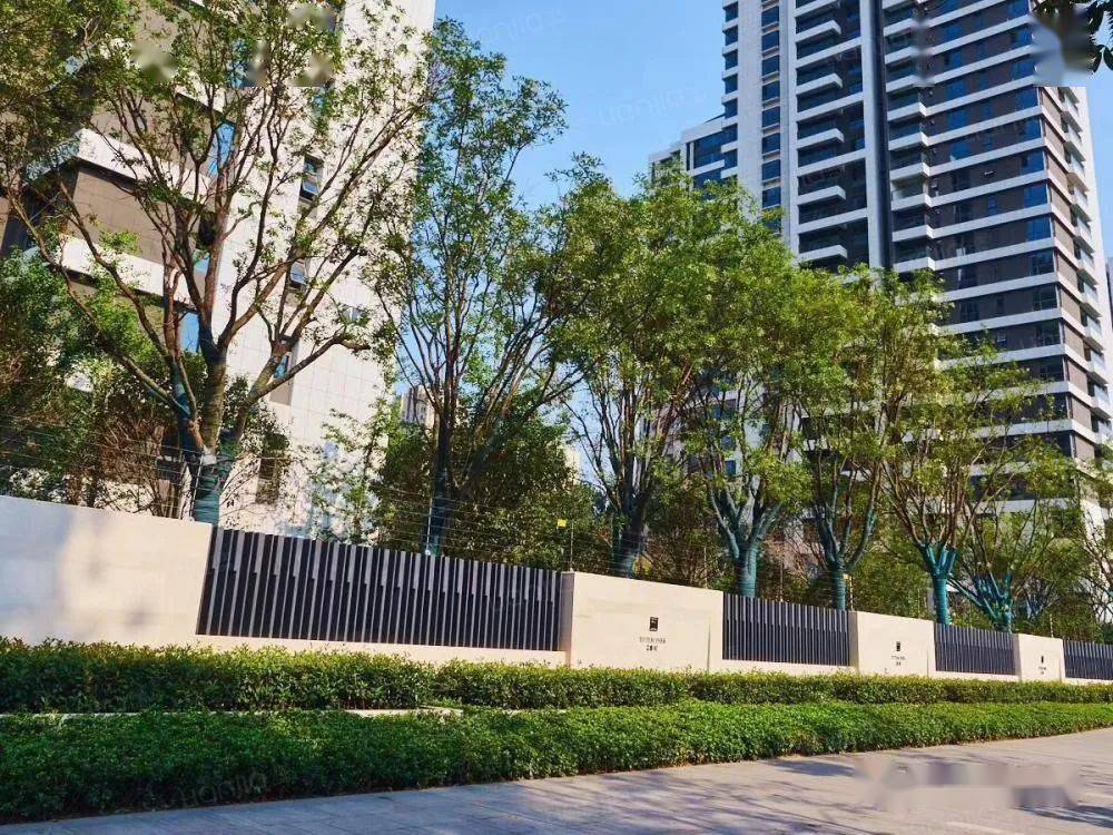 上图:金水老城的东润泰和小区沙丘是豫港房产中海店店长,每隔一段时间