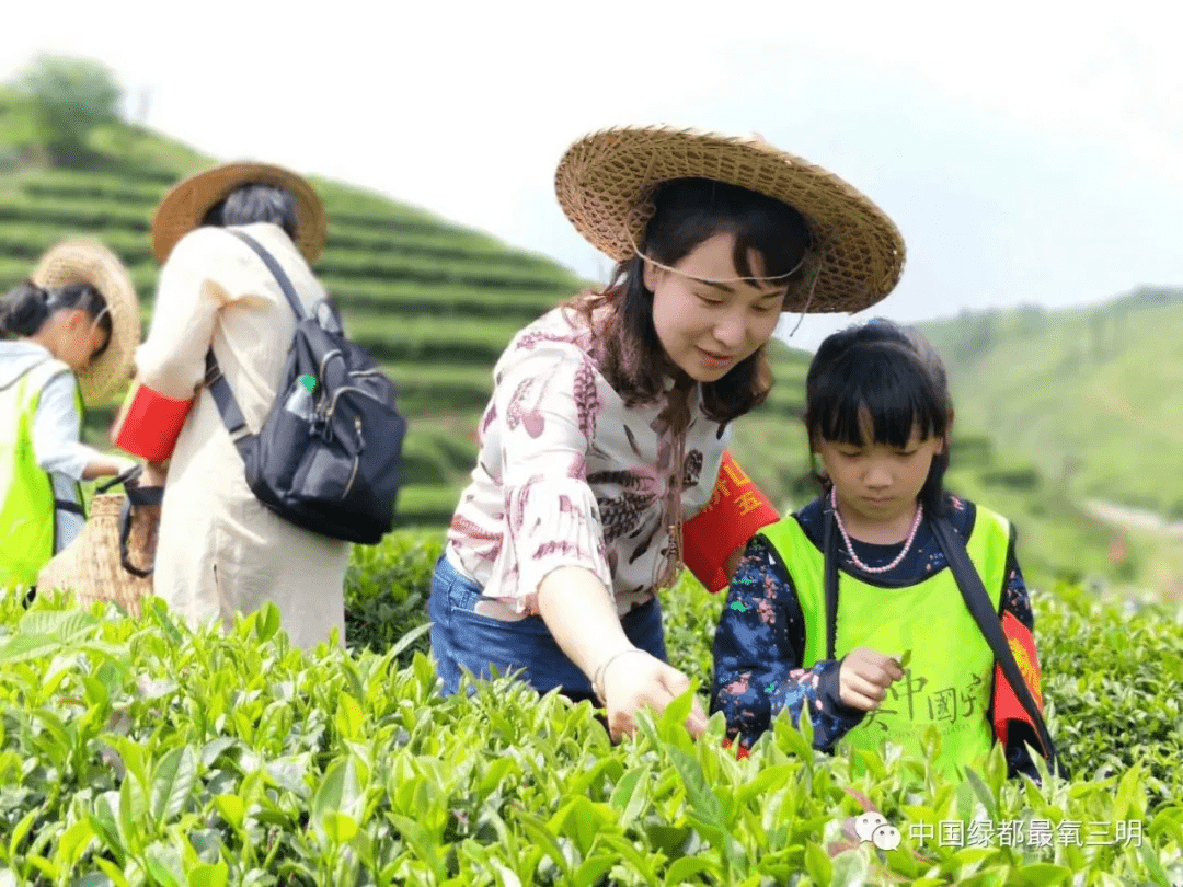 三明"游"好茶⑤ | 清新花乡惹人醉 建宁茶香有余味
