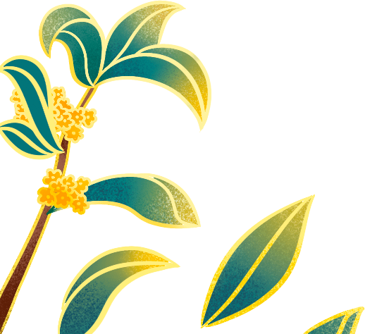 大宋宫词 没有灵魂的服化道 糟蹋了东方美学 旗袍