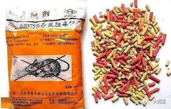 咋个投药法?毒饵都投哪里啦?