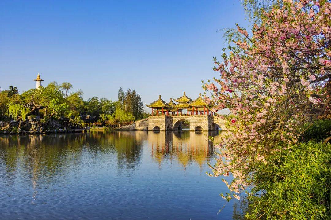 解锁这个春天最好的方式在瘦西湖邂逅十里桃花季