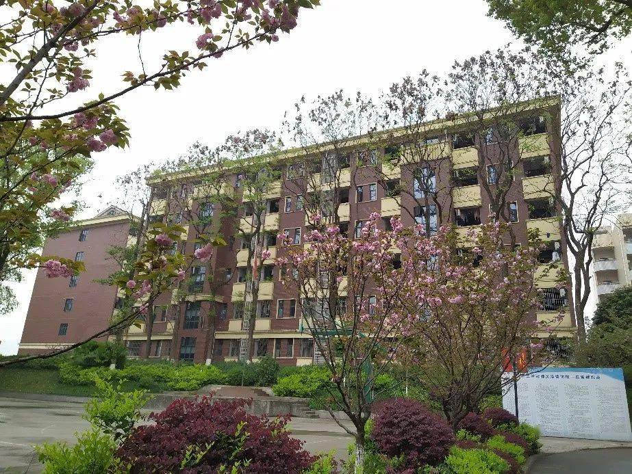 围观北碚这所宝藏名校你了解多少