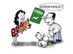 如何预防新冠病毒传染病的发生 bcb4c232e05648e995d8abc5e911761f.jpeg