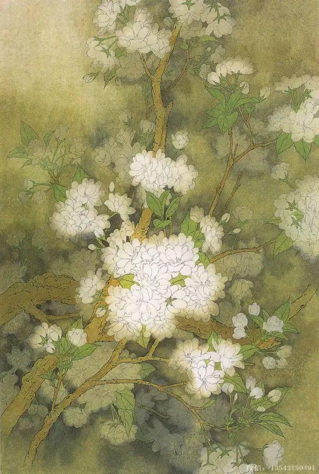 周中耀工笔樱花画法解析到位