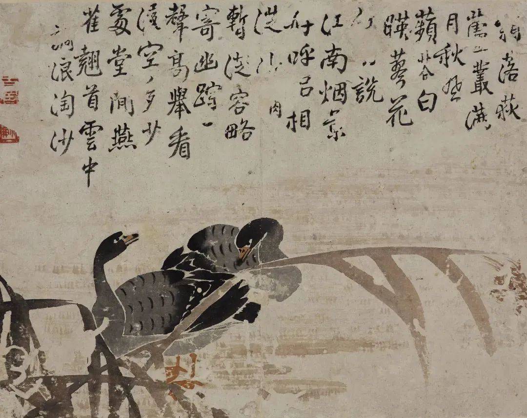 展览不止于怪扬州八怪书画精品展于扬州博物馆开展