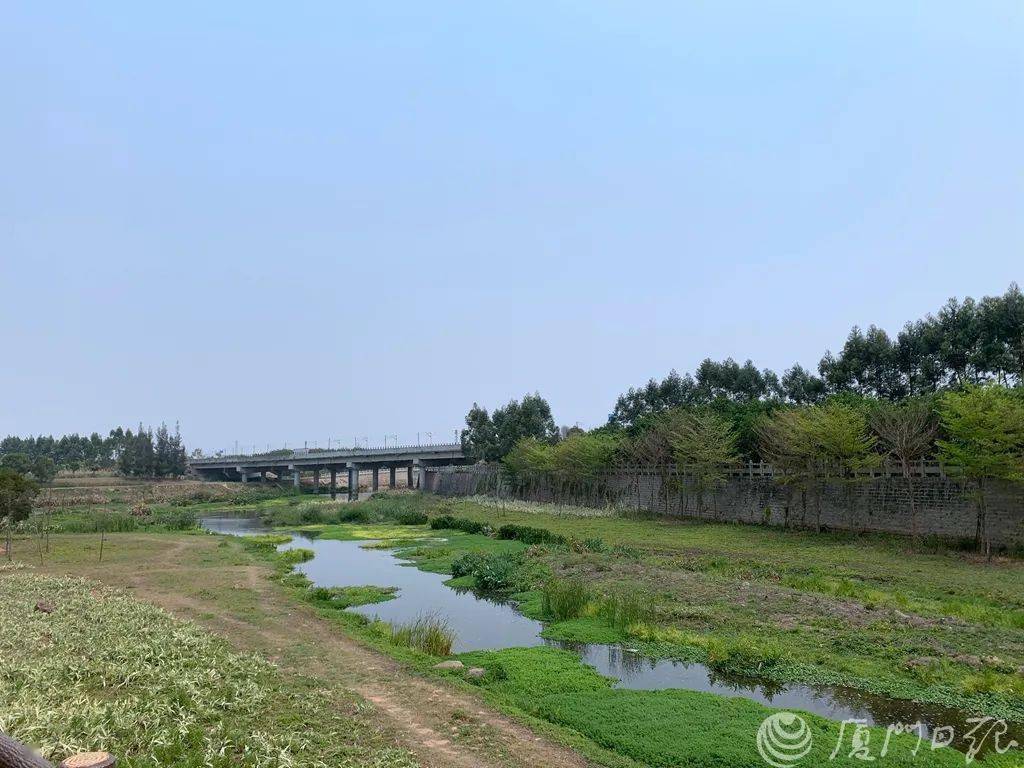 海沧三江口温泉公园图片