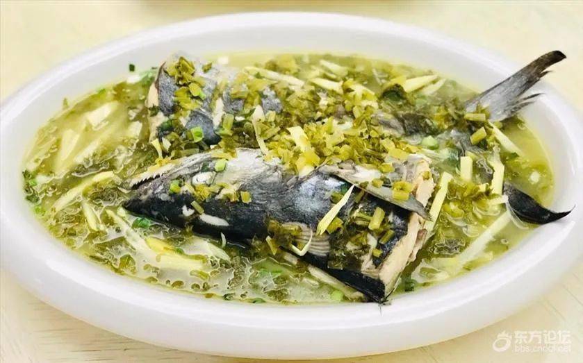 宁波的春天,这条鱼最鲜美!今年你有尝过吗?