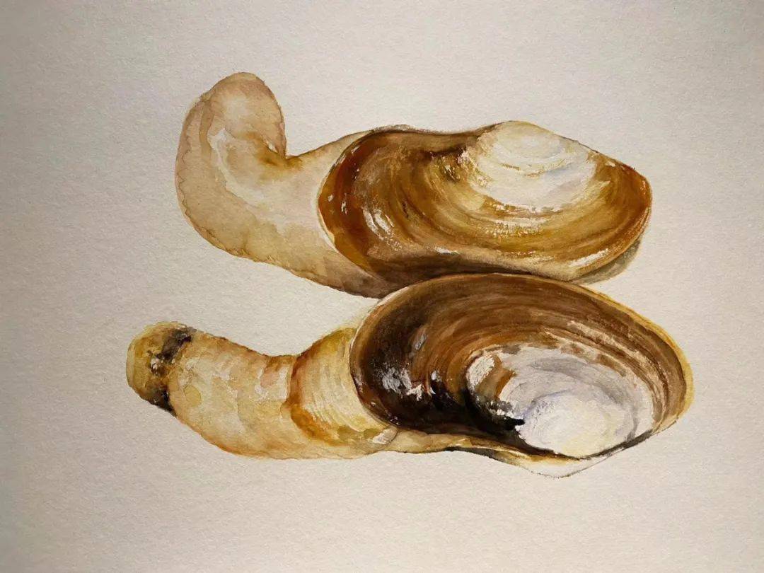 许延平专栏吃货系列水货篇