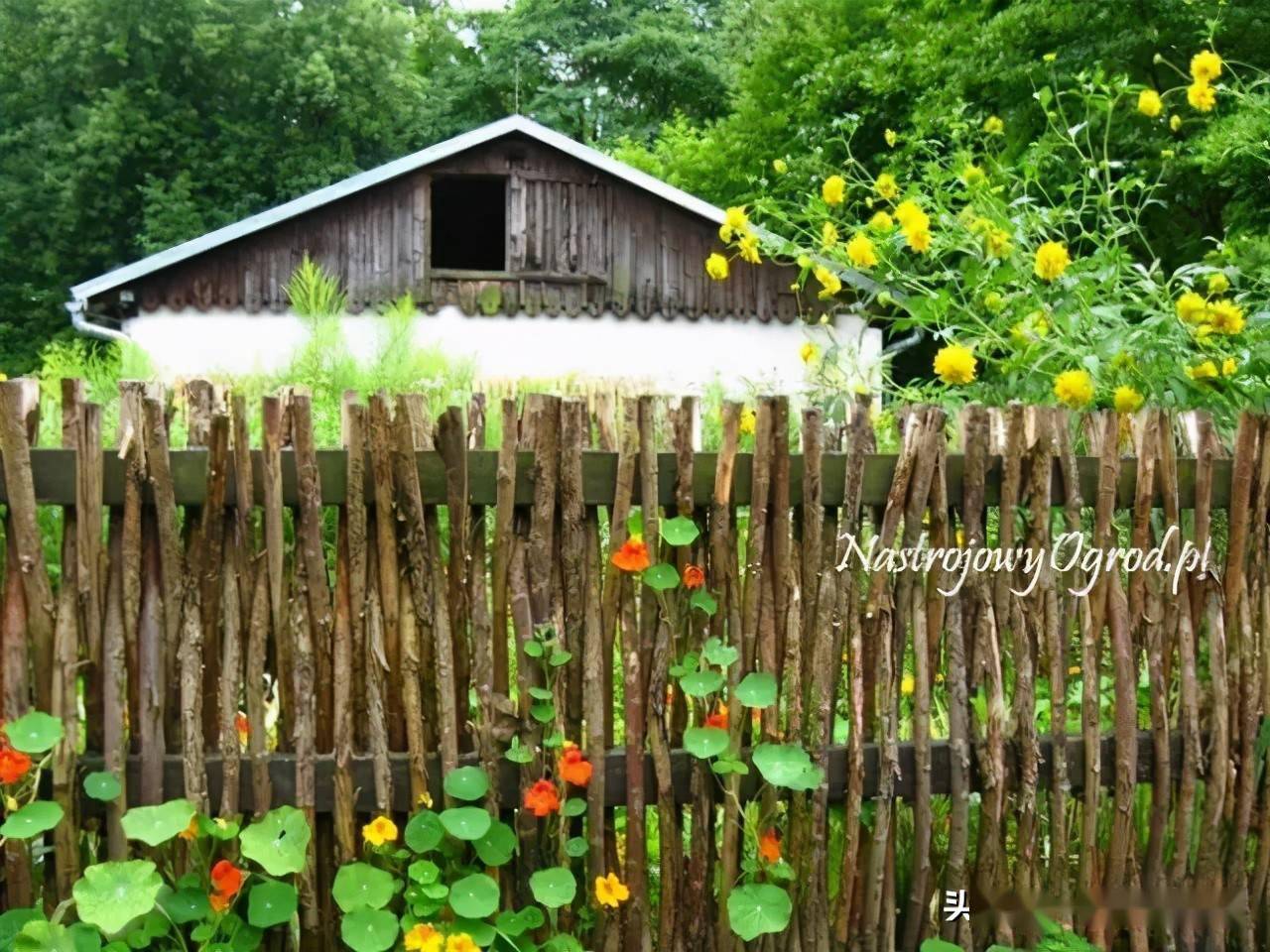 带篱笆的农家小院图片图片