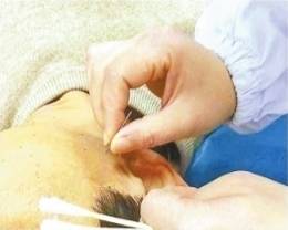 嗅觉排名_十大嗅觉猎犬排名