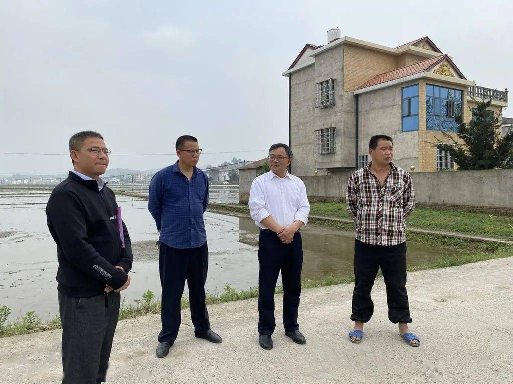 蒋新雄先后来到飞仙桥片新寨村,马头桥村,飞仙桥村