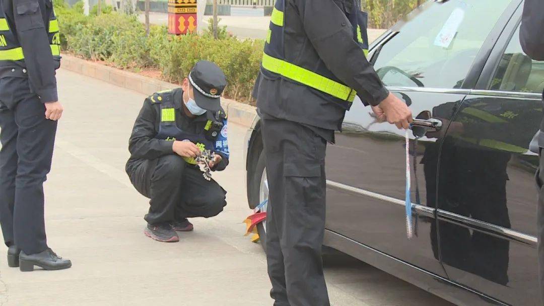 城管部门作出回应