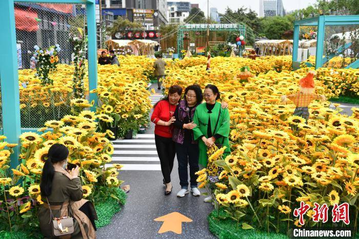 成都街头摆上万株向日葵装饰花打造“花海”景观