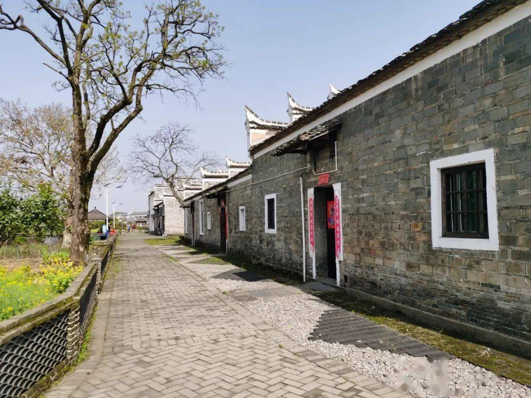 樟树市全面改善农村环境打造绿富美新农村