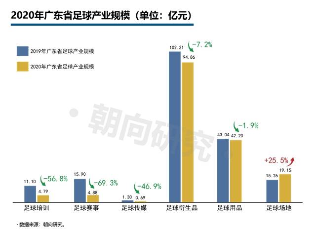 2020年百度14亿人口足球水平_2020年人口普查照片