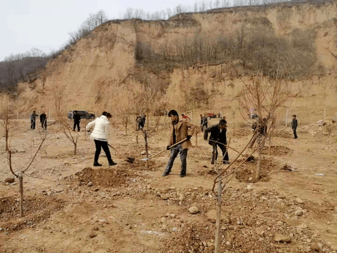 灵台县中台镇图片