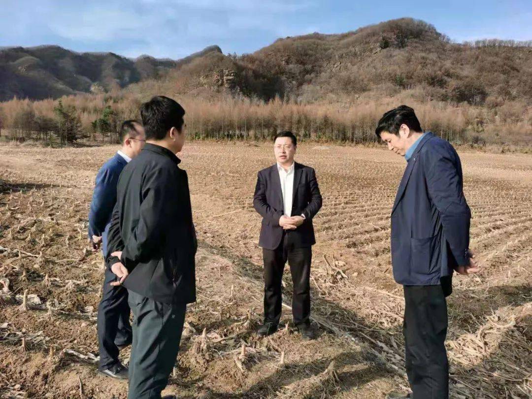 【要闻】张涛检查清明节期间森林草原防灭火工作