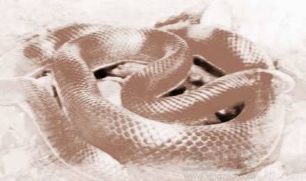 周公解梦,梦见自己床上有条大蛇,嘴张得很大,意味着什么? 周公解梦,梦见自己床上有条大蛇,嘴张得很大,意味着什么?