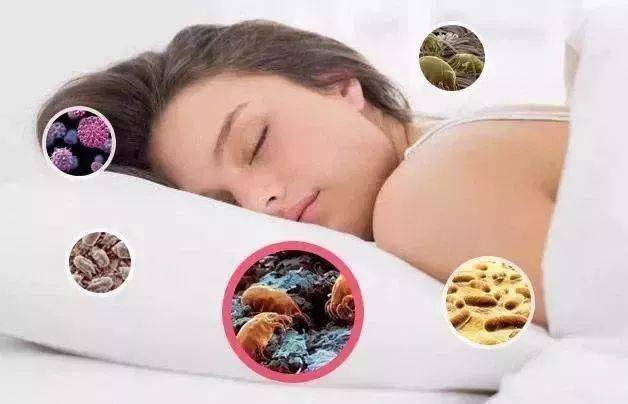 湿着头发睡觉,头发里的水分渗透进枕头内,  潮湿的环境为细菌,真菌和