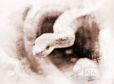 周公解梦，梦见三条大蛇在家中被自己打死，寓意何在？