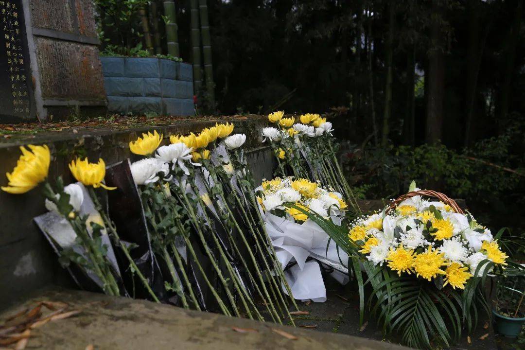 党员干部诵读祭文,向烈士墓献上鲜花,肃立默哀,表达对烈士的敬仰,哀思