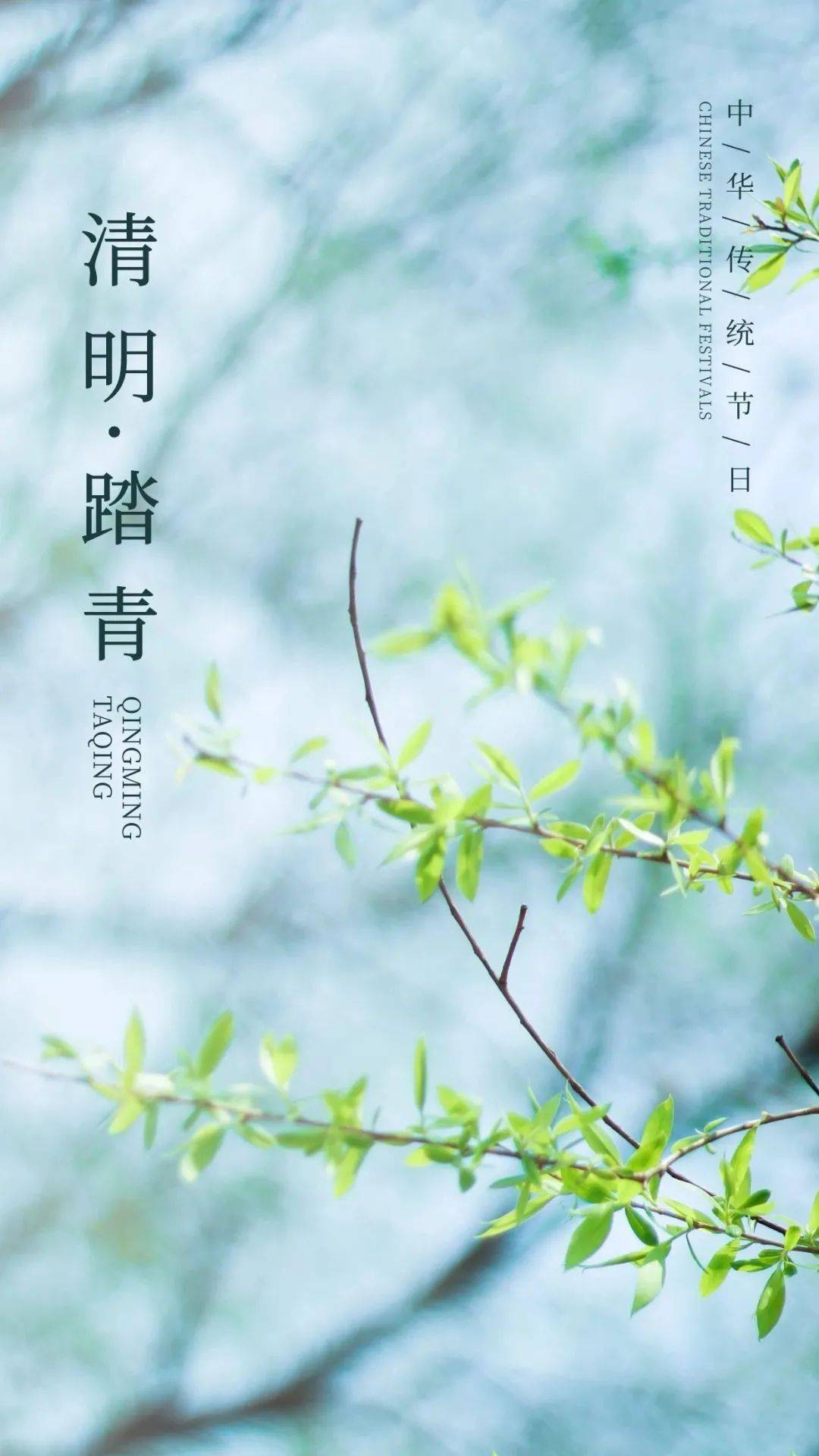 清明· 春城无处不飞花,寒食东风御柳斜