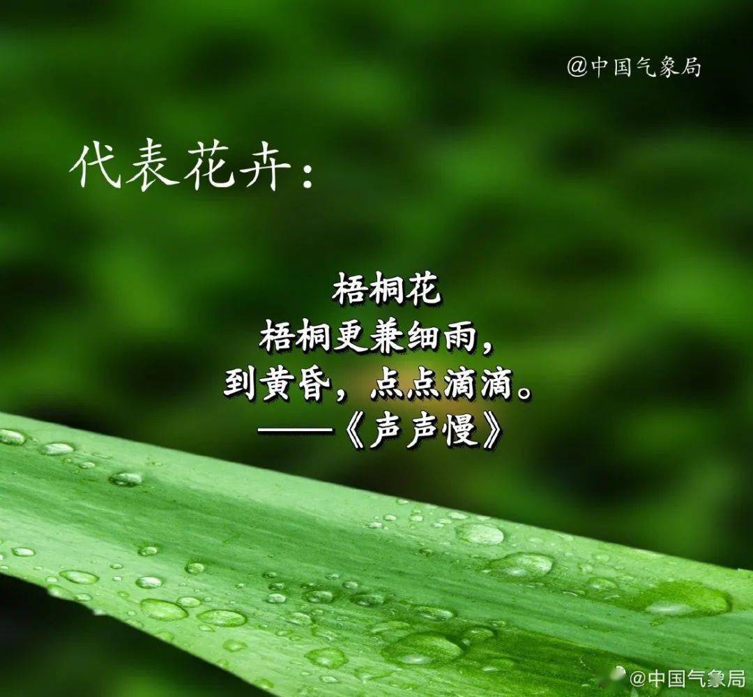 今天夜间:晴间多云,西南风2-3级,最低气温:7℃明天白天:多云,西南风2