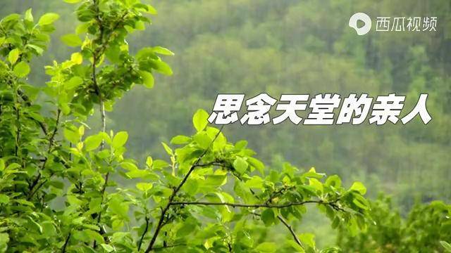 清明节思念天堂的亲人