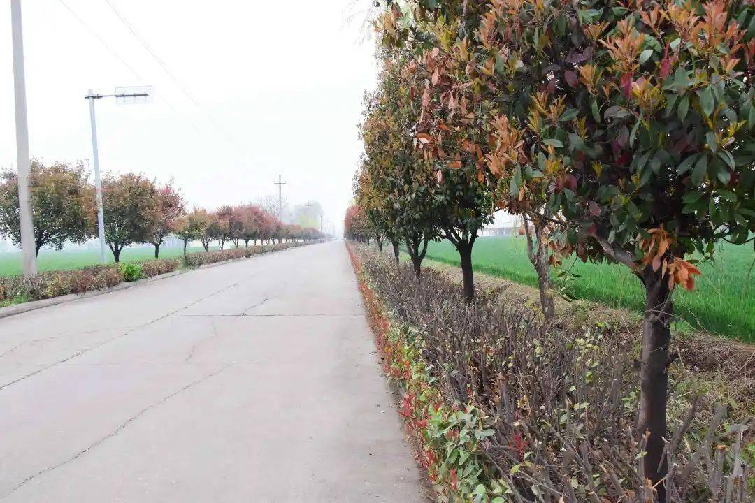 据了解,石固镇此次道路提升改造工程涉及中岳店村,朝阳村,乔庄村,王庄