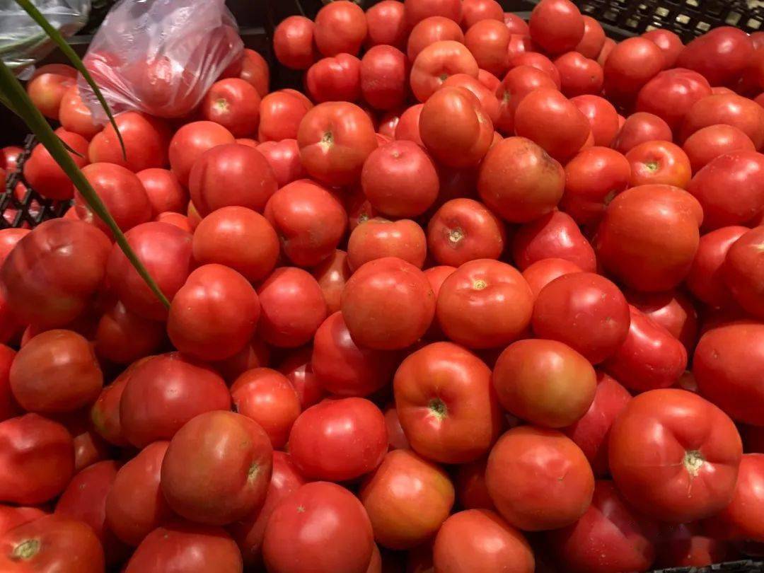 买西红柿别只会选红的,挑"母"的更沙甜多汁,让你一挑一个准_自然